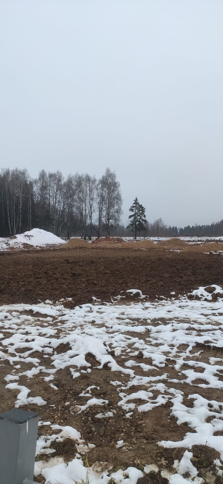 Строительство парка Ржавки — Ноябрь 2024